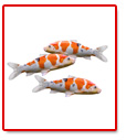 Fische